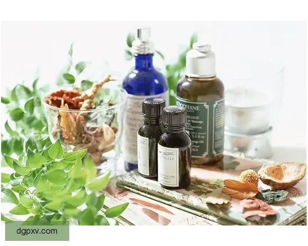 大连英博遭遇训练基地断档危机 基础保障食宿训练面临严峻考验